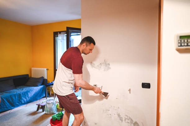 Best Fast Mold Removal  in Pahala, HI